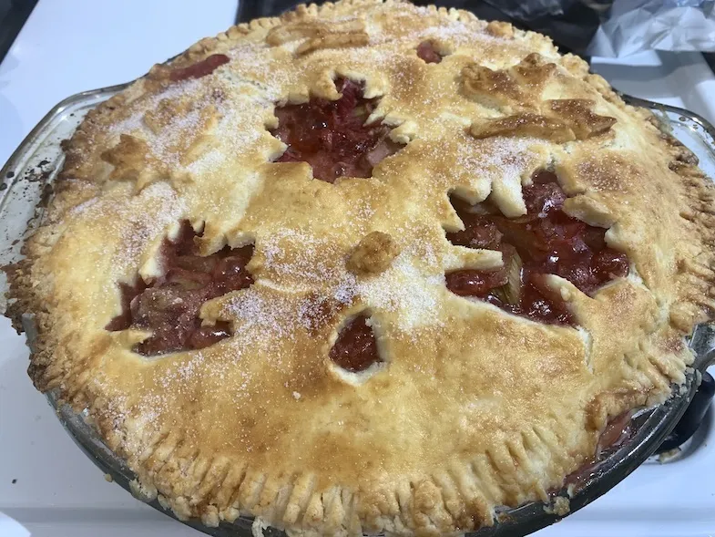 gluten free rhubarb and strawberry pie