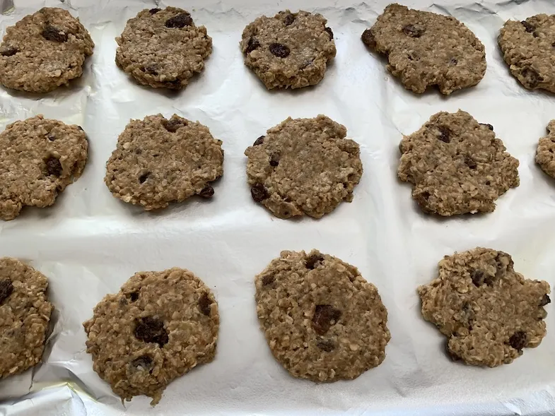 raw gluten-free peanut butter banana and oat cookies just before baking.